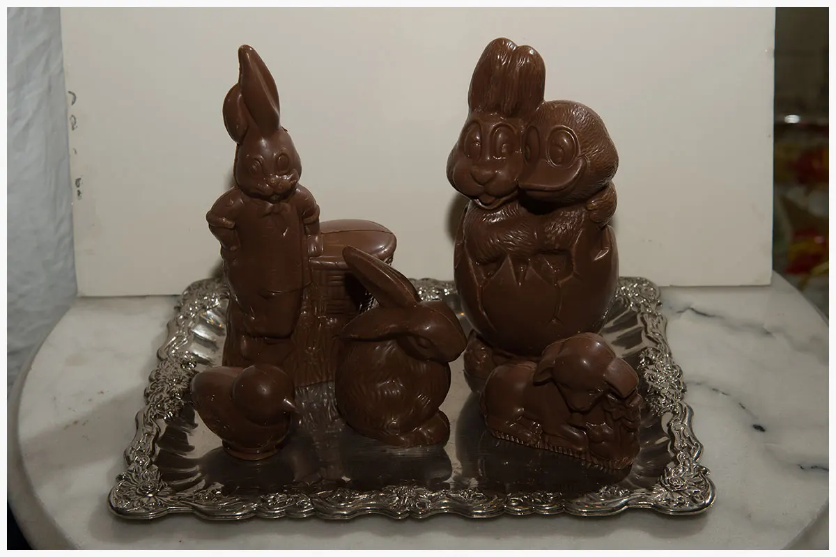 Animaletti di cioccolato